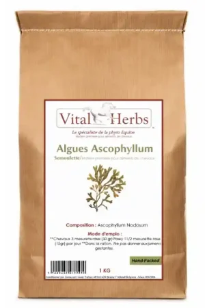 Nouvelle Collection Vital Herbs Algues Ascophyllum
