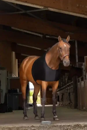 Commande En Gros Equithème Protection d'épaules EQUITHÈME