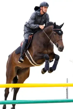 Nouveauté Horse Pilot Bonnet Cheval HP