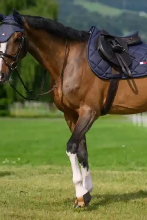 Tommy Hilfiger Tapis de selle Jumping Columbia Super Prix