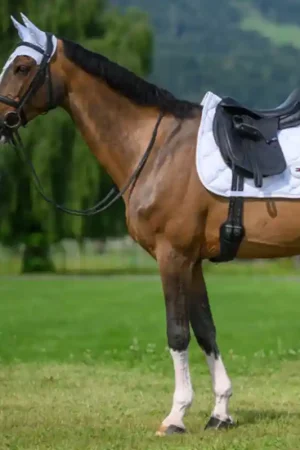 Tommy Hilfiger Tapis de selle Jumping Liberty Prix Choc