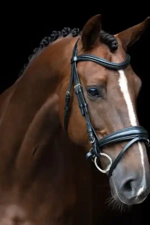 Imperial Riding Bridon Anglais IRH Muserolle Combinée Offre Du Jour