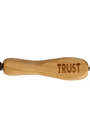 Trust Equestrian TRUST Brosse métallique pour crampons Meilleur Prix