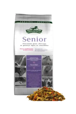 SENIOR (20 KG) Seulement Aujourd'hui