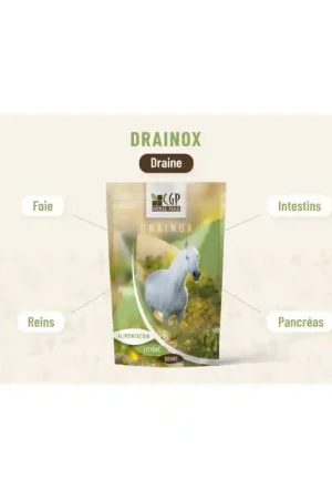 DRAINOX Bon Plan
