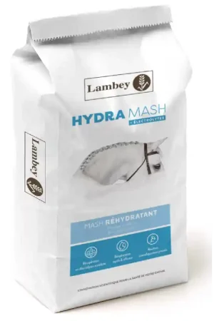Seulement Aujourd'hui HYDRA MASH
