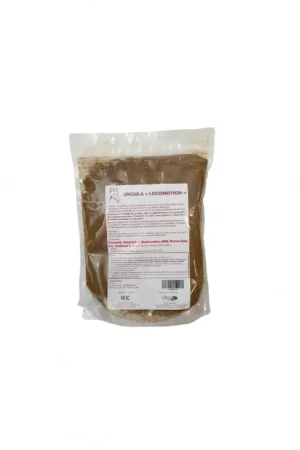 LOCOMOTION (1.5 KG) Petit Prix