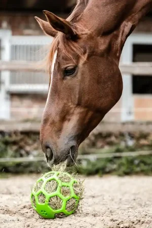 Super Prix BALLE À FOIN