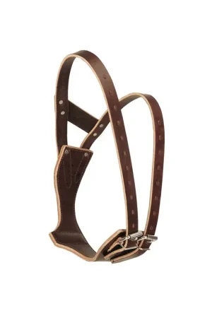 COLLIER ANTI-TIQUEUR EN CUIR Nouvelle Collection