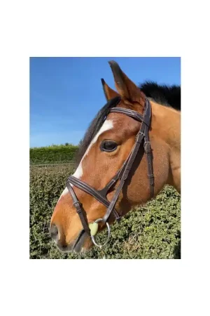 Prix Promo BRIDON BRODÉ