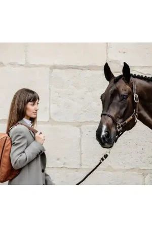 Offre Limitée SAC À BOMBE GROOMING DELUXE