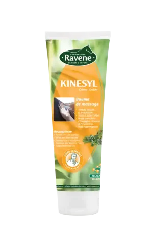 Jusqu'à Épuisement Des Stocks KINESYL (250 ML)