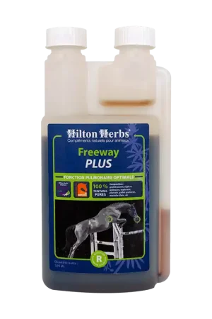 FREEWAY PLUS (500ML) Nouvel Arrivage