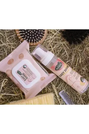 Vente Directe EASY SHINE MOUSSE