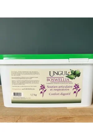Prix Bas BOSWELLIA 1,5 KG