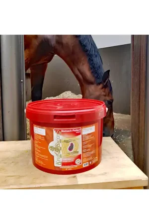 STOMACH - PROTEK ASSIST Livraison Express