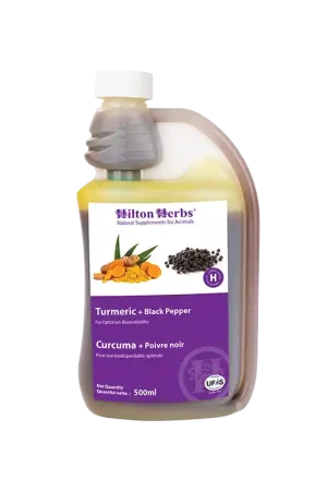 Bon Plan CURCUMA ET POIVRE NOIR (500ML)