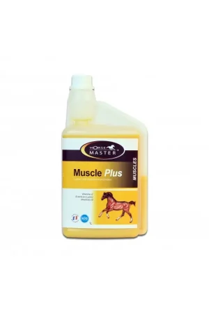 MUSCLE PLUS Achat Immédiat