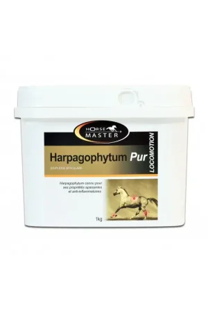 HARPAGOPHYTUM PUR Seulement Aujourd'hui