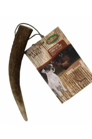 BOIS DE CERF Acheter Direct
