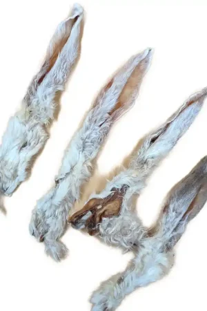 Offre Du Jour OREILLE DE LAPIN AVEC POILS