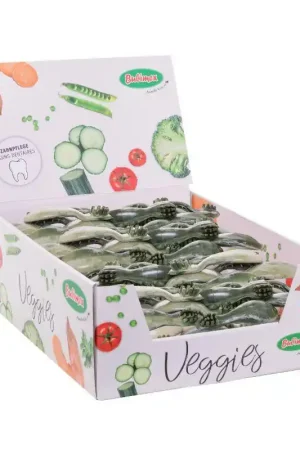 Nouveauté BROSSE À DENT VÉGÉTALE