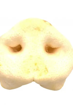 Paiement Sécurisé NEZ DE PORC SOUFFLÉ