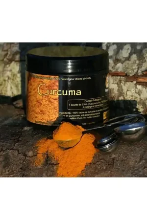 CURCUMA (300 G) Dernier Modèle