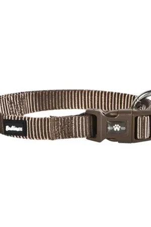 Certifié COLLIER POUR CHIEN