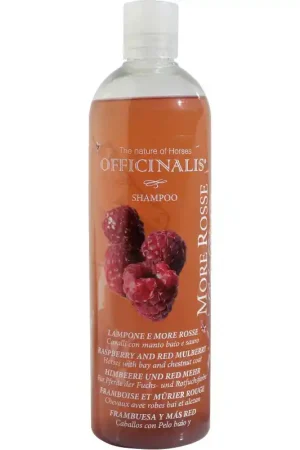 SHAMPOING FRAMBOISE & MÛRE Certifié