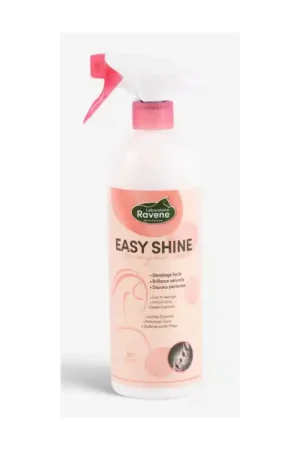 EASY SHINE LUSTRANT Commander Maintenant