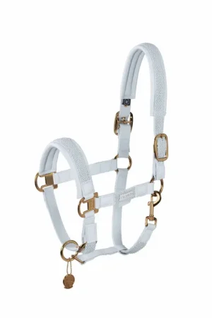LICOL TRESSE PLATINUM 23 Commande En Gros