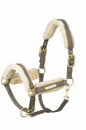 LICOL MOUTON HERITAGE 22 Offre Spéciale