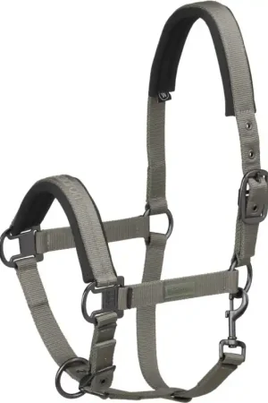 Dernier Modèle LICOL PINBUCKLE REFLEXX 21