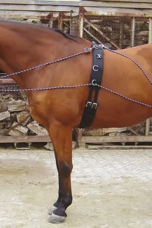 Réduction Enrênement longue rênes - Harry's Horse