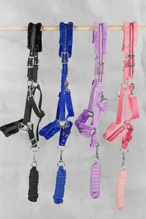 Offre Du Jour Licol longe Angel - Horka