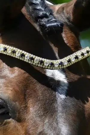 Frontal en strass - argent noir et doré Offre Du Jour