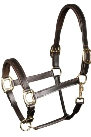 Licol en cuir Padded - Harry's Horse Solde