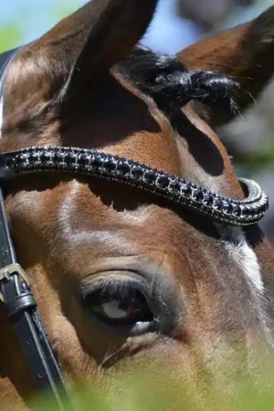 Frontal en strass noir Prix Cassé
