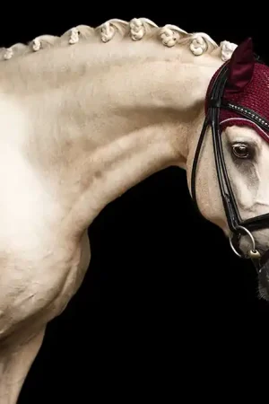 Bonnet anti-mouches bordeaux - Equestrian Stockholm Retour Gratuit