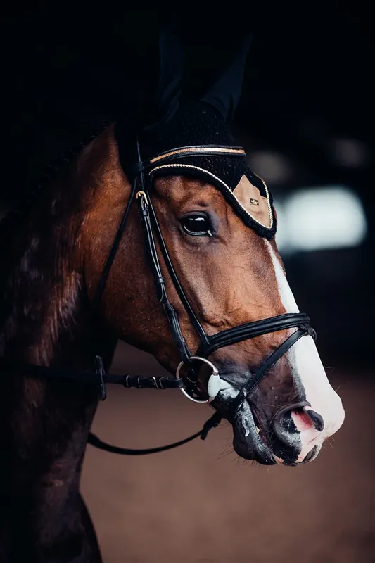 Bonnet anti-mouches Equestrian Stockholm - GOLDEN BRASS Produit De Marque