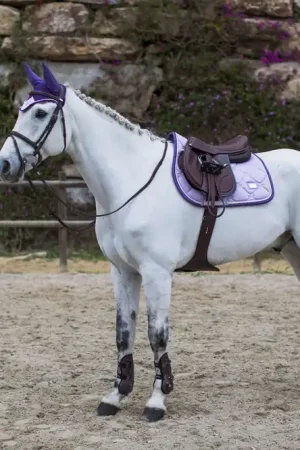 Tapis de selle LAVENDER - Equestrian Stockholm Commander Maintenant