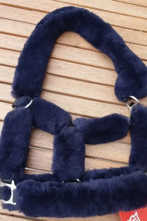 Nouvel Arrivage Licol avec set mouton Mattes- Marine