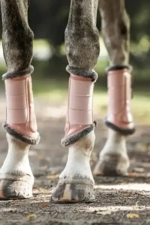 Nouvelle Collection Guêtres Equestrian Stockholm - Rose