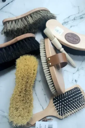Achetez Aujourd'hui Lot de 6 brosses et un pinceau - BORSTIQ FARM
