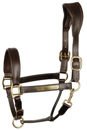 Quantité Limitée Licol en cuir Anatomic - Harry's Horse
