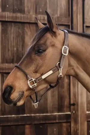Licol en cuir rope - Kentucky Commander Maintenant