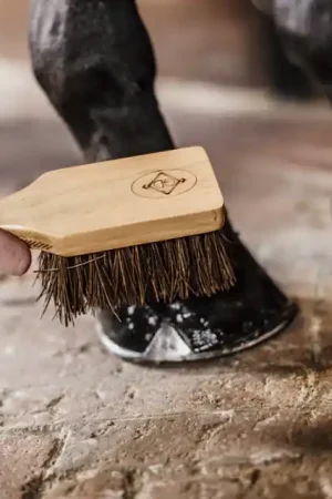 Prix Cassé Brosse à sabot - Kentucky