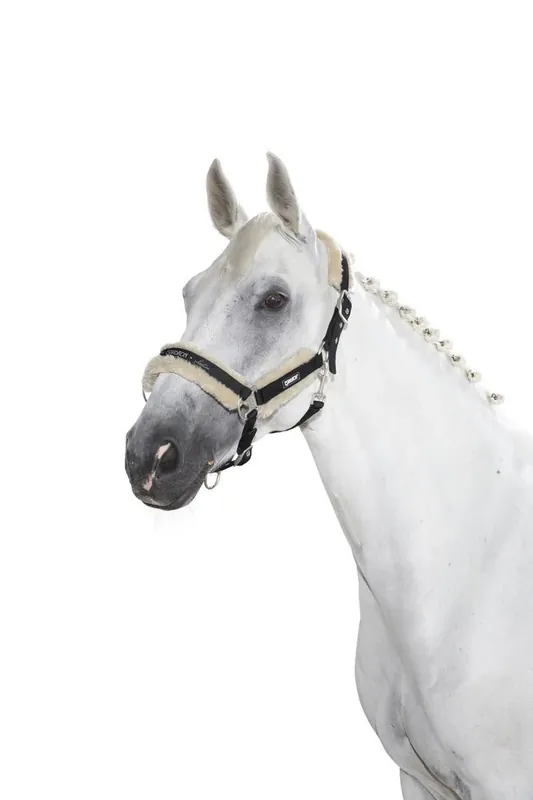 Dernière Chance Licol Basic doublé mouton - Eskadron