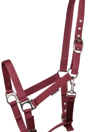 Nouveauté Licol en nylon reglable x3- Harry's Horse